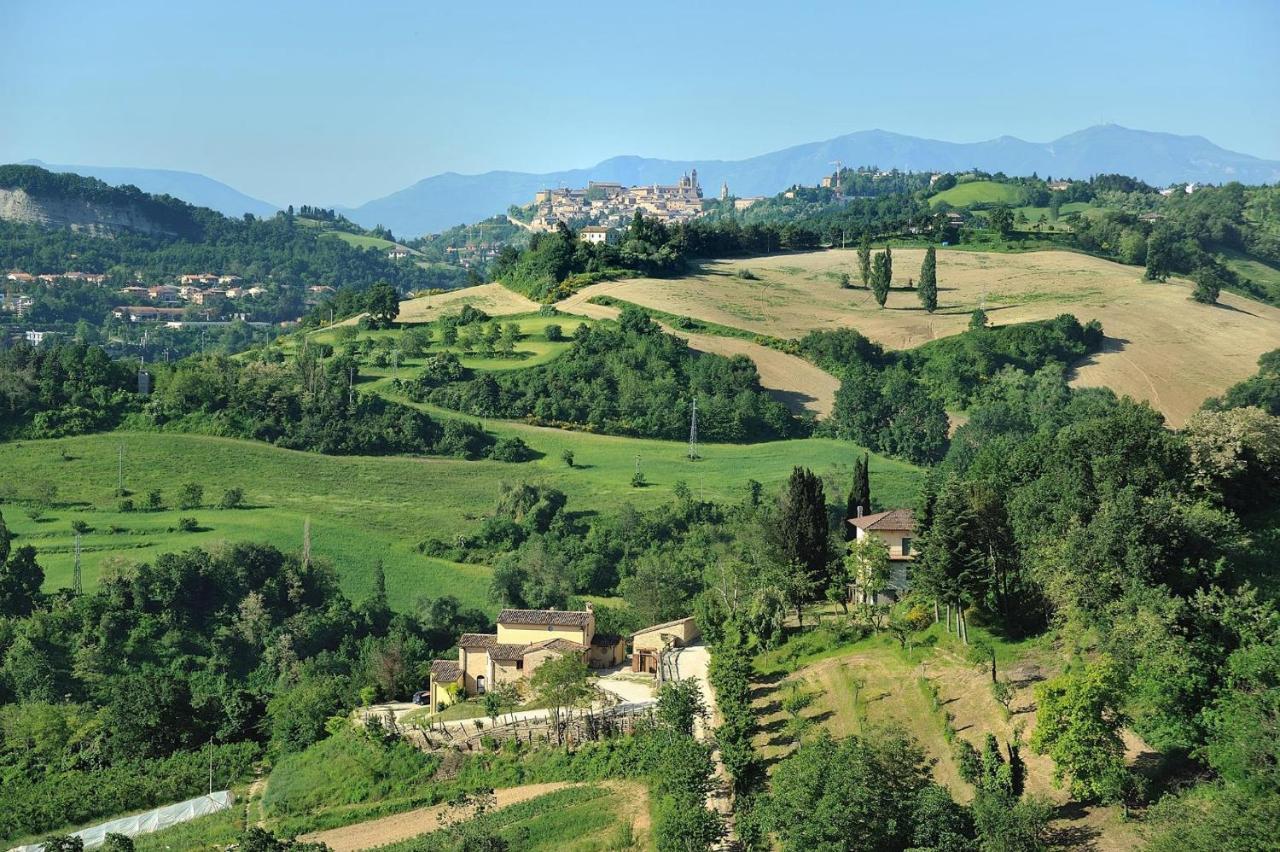 Country House Ca' Vernaccia Pension Urbino Buitenkant foto