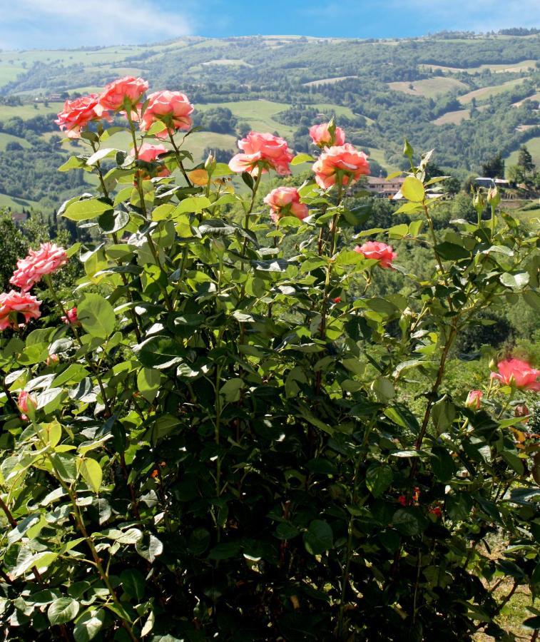 Country House Ca' Vernaccia Pension Urbino Buitenkant foto