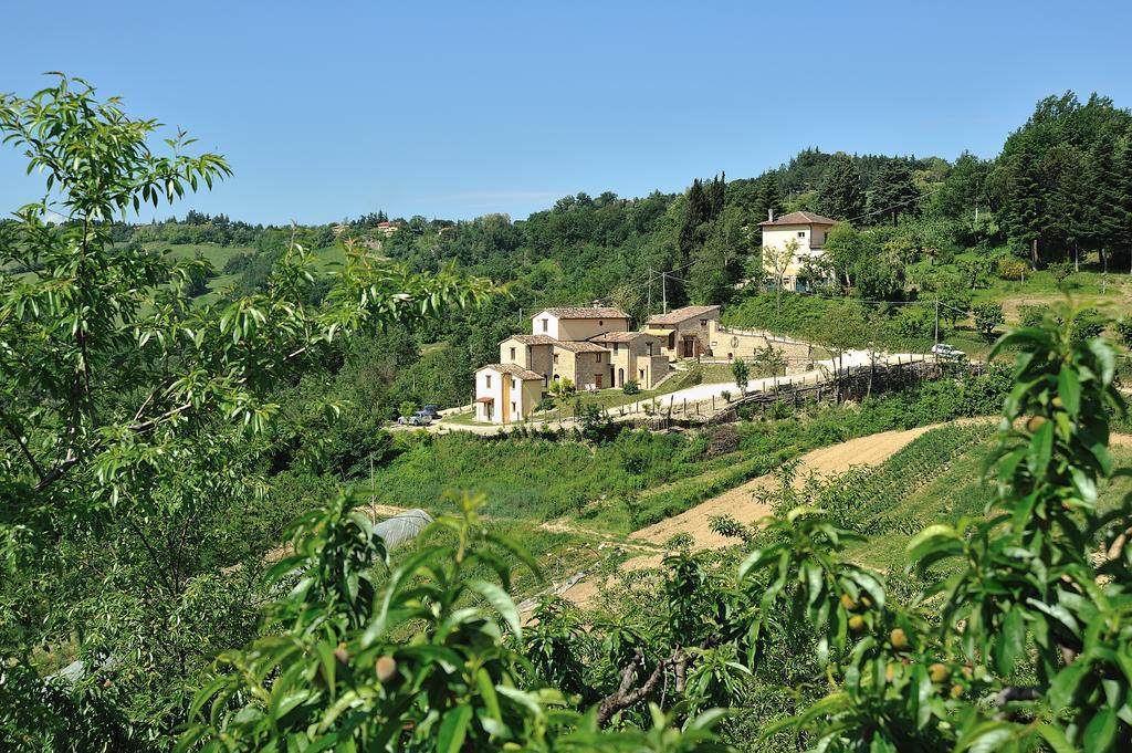 Country House Ca' Vernaccia Pension Urbino Buitenkant foto