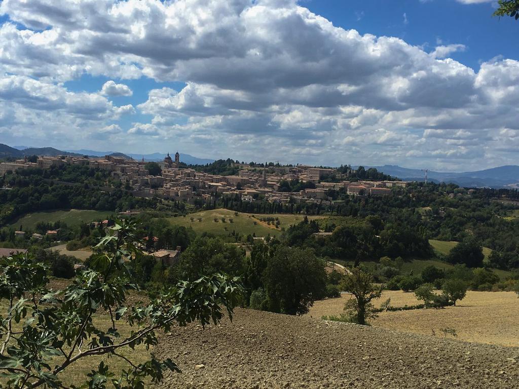 Country House Ca' Vernaccia Pension Urbino Buitenkant foto